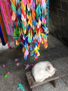 長崎県、平和公園の下に猫が...